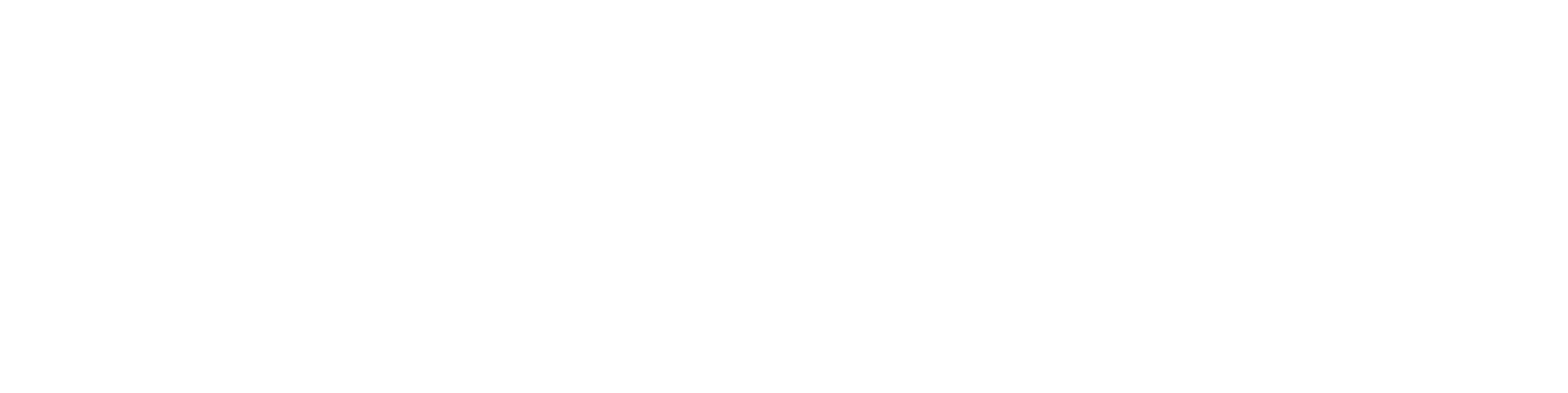 Dreamlifter Paramotors PPG